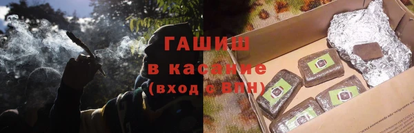 прущие грибы Заволжск