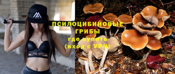 apvp Заволжье