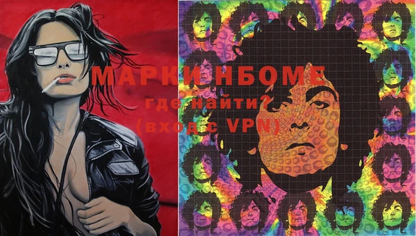 прущие грибы Заволжск