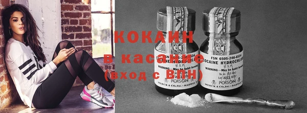 прущие грибы Заволжск